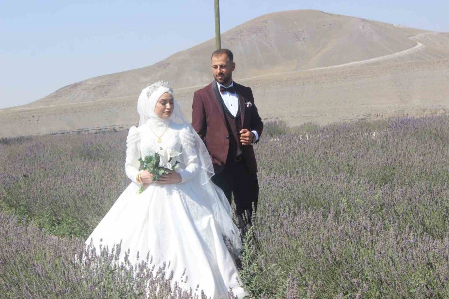 Lavanta Bahçesi Gelin Ve Damatların Uğrak Noktası Oldu