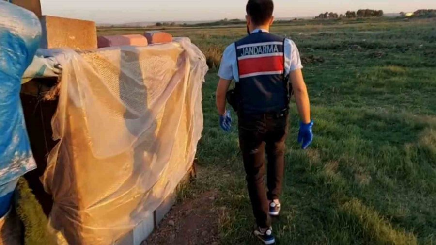 Bahçesine Baraka Yapıp Özel Bölmelerde Kenevir Yetiştirdi