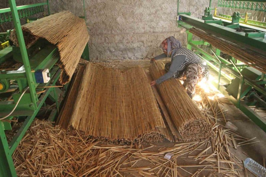 Göllerden Temin Edilen Kamışlar Ekonomiye Kazandırılıyor