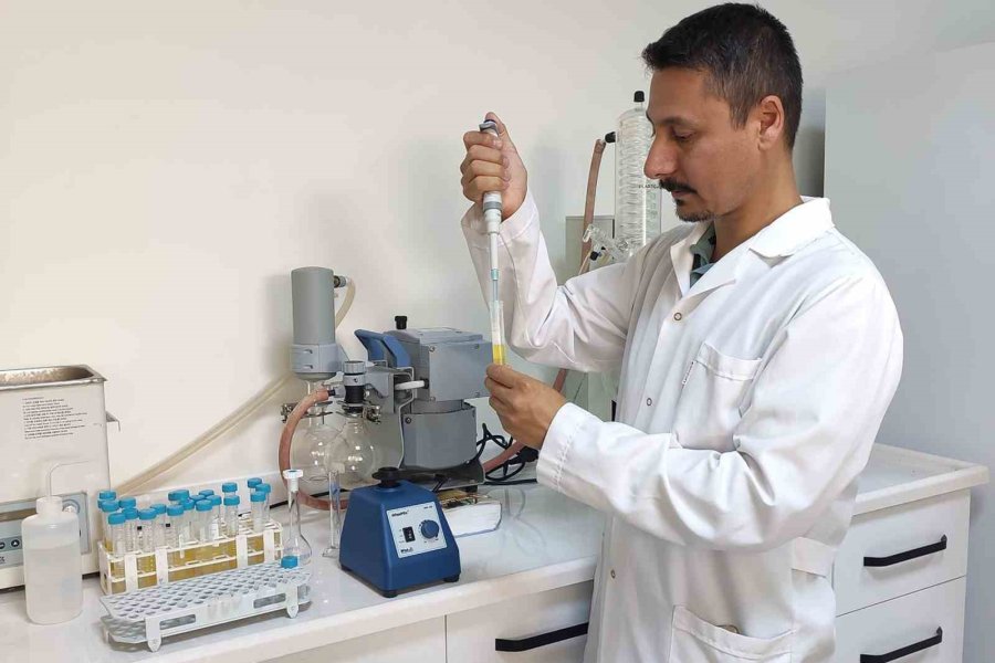 Kmü’lü Akademisyen Danışmanlığında Hamam Böcekleri İle Mücadele Mekanizmaları Araştırılacak