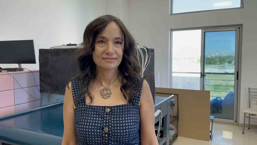 Bu Cihaz Saatte Bir Ton Ambalaj Atığı Ayrıştırıyor