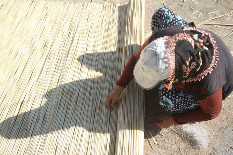 Göllerden Temin Edilen Kamışlar Ekonomiye Kazandırılıyor