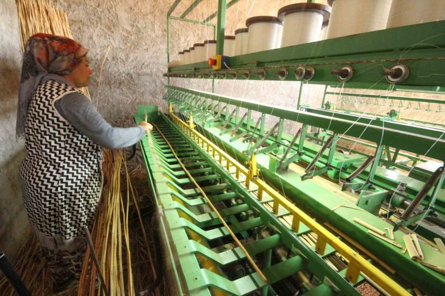 Göllerden Temin Edilen Kamışlar Ekonomiye Kazandırılıyor