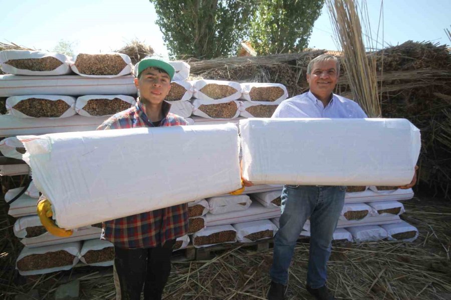 Göllerden Temin Edilen Kamışlar Ekonomiye Kazandırılıyor