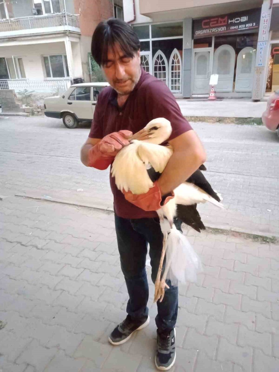 Cadde Ortasında Yürüyen Leylek Görenleri Şaşkına Çevirdi