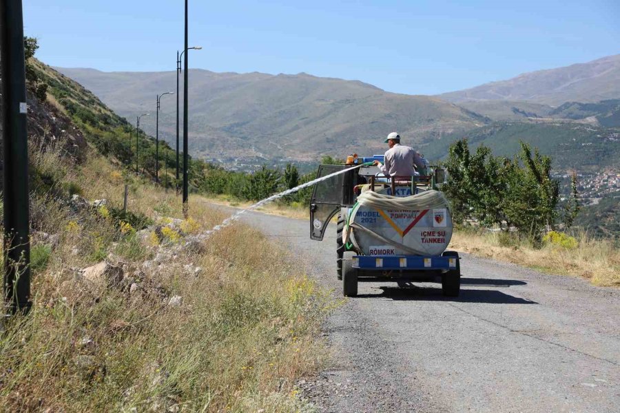 Daha Yeşil Bir Ali Dağı’na Doğru