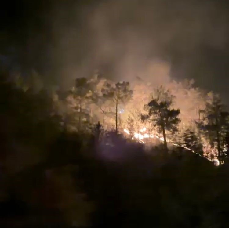 Gazipaşa’daki Orman Yangınında 3 Dönüm Alan Zarar Gördü