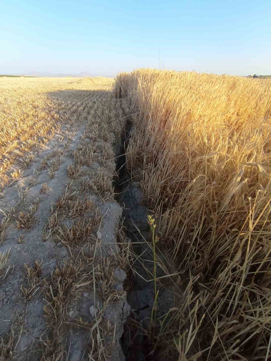 Hasat Yapılacak Ekili Arazide Oluşan Obruk Korkuttu