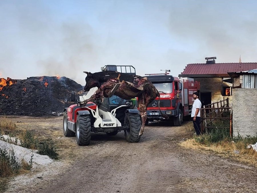 Konya’da Samanlık Ve Ahır Yangınında Büyükbaş Hayvanlar Telef Oldu