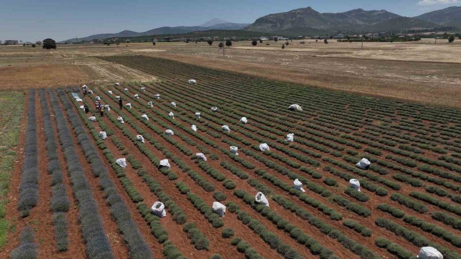 Başkan Altay: "çiftçimizin Yanında Olmaya Devam Edeceğiz"