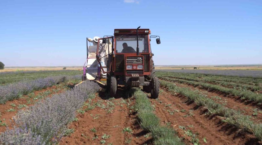 Başkan Altay: "çiftçimizin Yanında Olmaya Devam Edeceğiz"