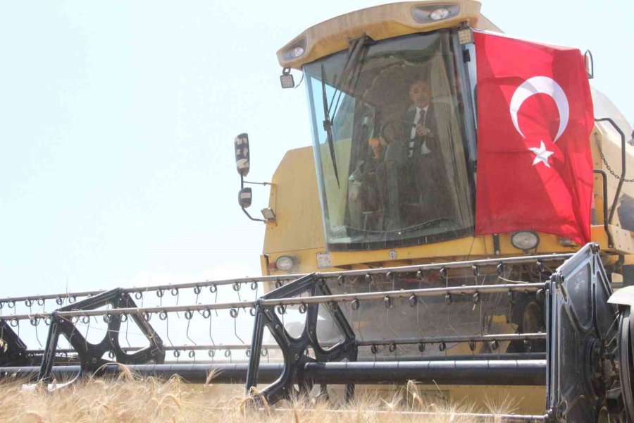 Karaman’da Buğday Ve Arpada Rekolte Arttı