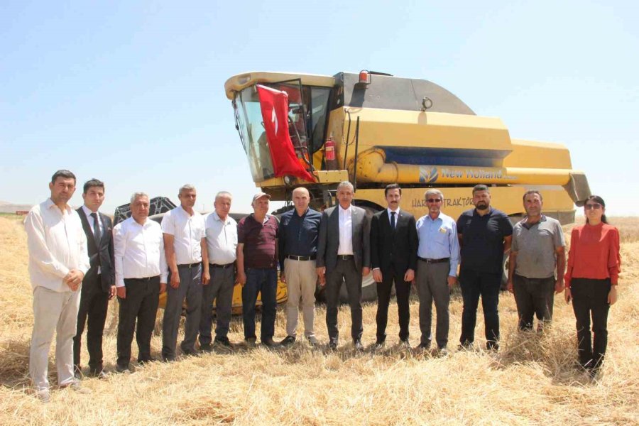 Karaman’da Buğday Ve Arpada Rekolte Arttı