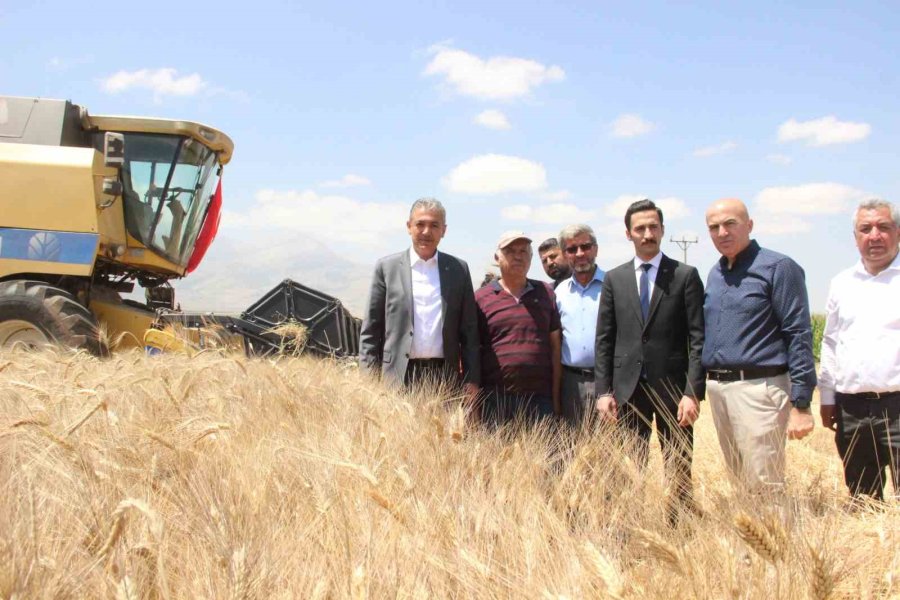 Karaman’da Buğday Ve Arpada Rekolte Arttı