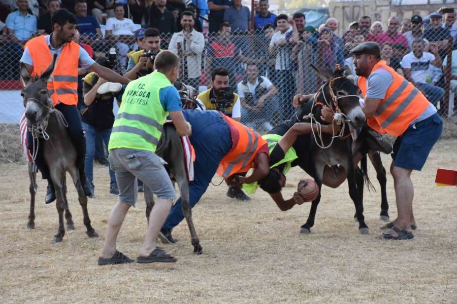 Eşek Üzerinde Ellerindeki Topla Gol Atmak İçin Çabaladılar