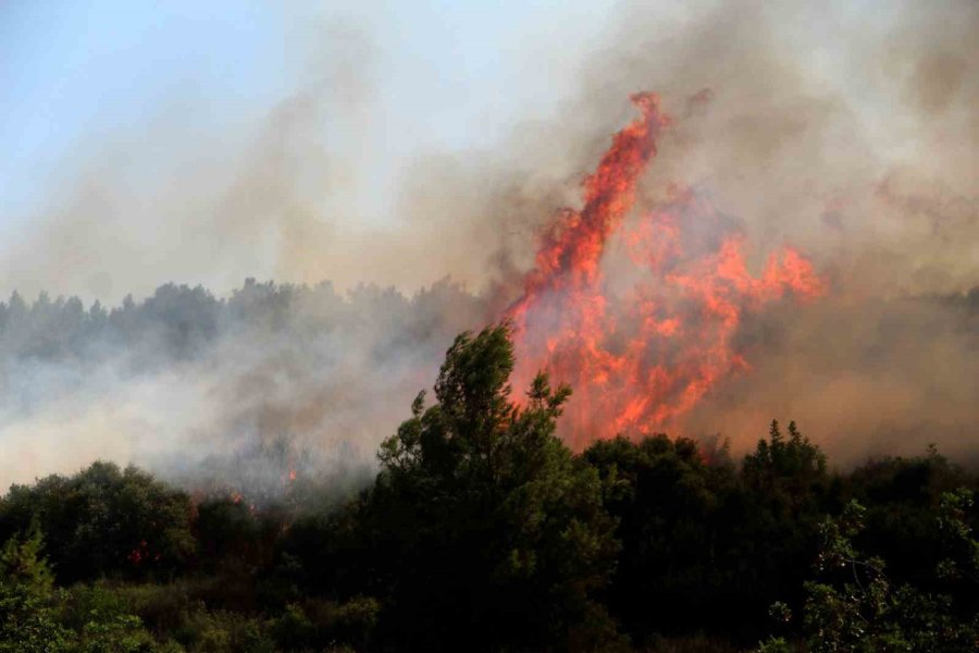 Orman Yangınına Hızlı Müdahale Vatandaşları Memnun Etti: “allah Devletimizden Razı Olsun”