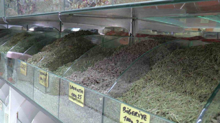 Terlemeye Karşı Bitkisel Çözüm: Şeb Taşı