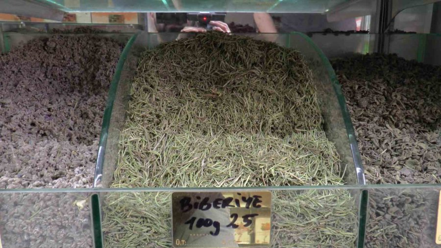 Terlemeye Karşı Bitkisel Çözüm: Şeb Taşı