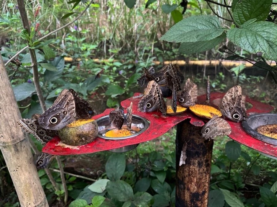 Selçuklu Ve Penonome Belediyesi Kardeş Oldu