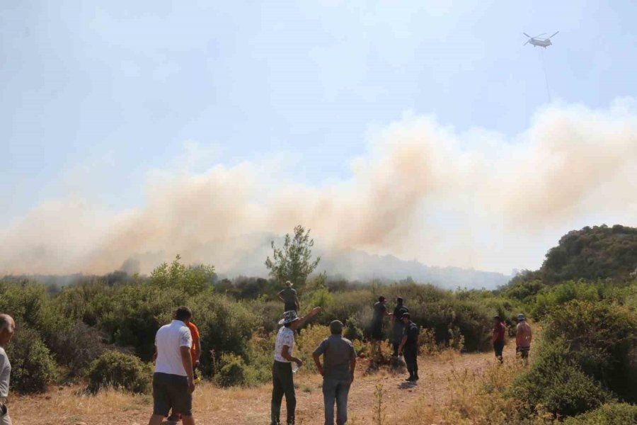 Orman Yangınına Hızlı Müdahale Vatandaşları Memnun Etti: “allah Devletimizden Razı Olsun”