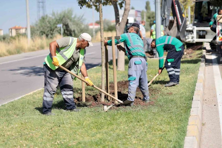 Başkan Dinçer: “aksaray’ımızın Yeşil Alanını Artırmak İçin Çalışıyoruz”