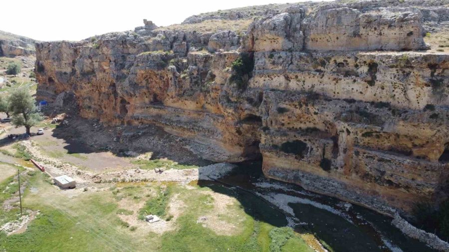 Yaşam Kayalarında Dikkat Çeken Görüntü: Ayıyı Andıran Kaya
