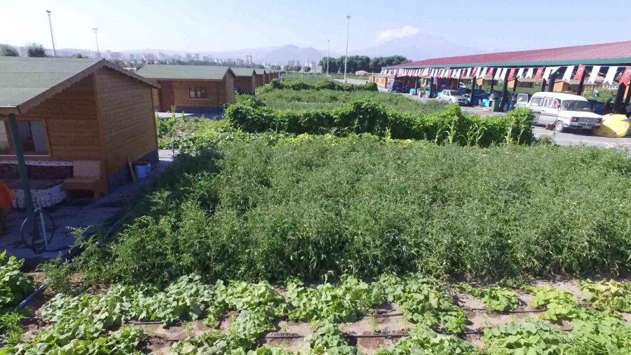 Büyükşehir’in ‘doğal Ürünler Bahçesi Pazarı’ Açılıyor