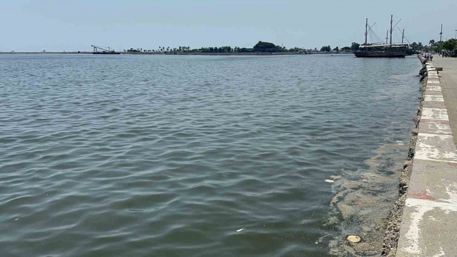 Akdeniz’de Mikroplastik Alarmı: "her 1 Kilometre Karede 8 Milyonun Üzerinde Mikroplastik Tespit Edildi"