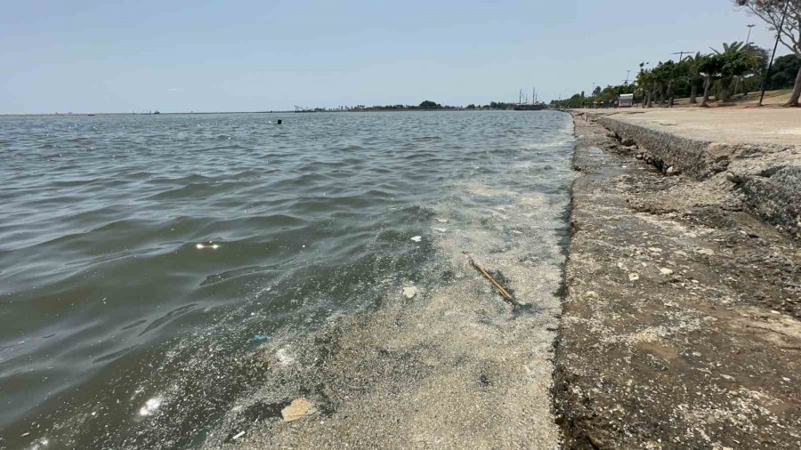 Akdeniz’de Mikroplastik Alarmı: "her 1 Kilometre Karede 8 Milyonun Üzerinde Mikroplastik Tespit Edildi"