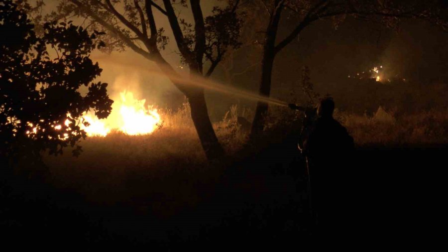 Dağlık Alanda Çıkan Yangında 200 Dönümlük Arazi Kül Oldu