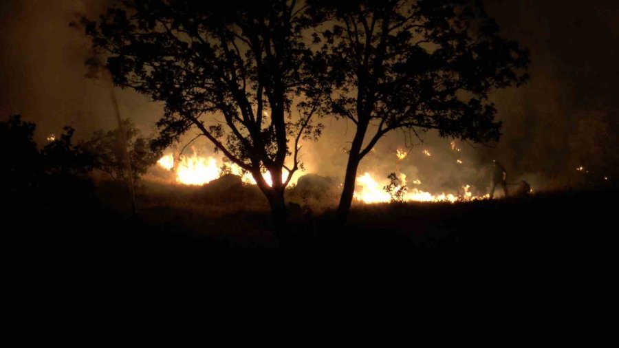 Dağlık Alanda Çıkan Yangında 200 Dönümlük Arazi Kül Oldu