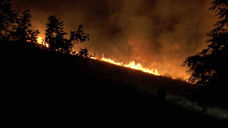 Dağlık Alanda Çıkan Yangında 200 Dönümlük Arazi Kül Oldu