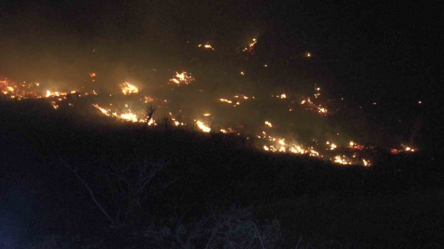 Dağlık Alanda Çıkan Yangında 200 Dönümlük Arazi Kül Oldu