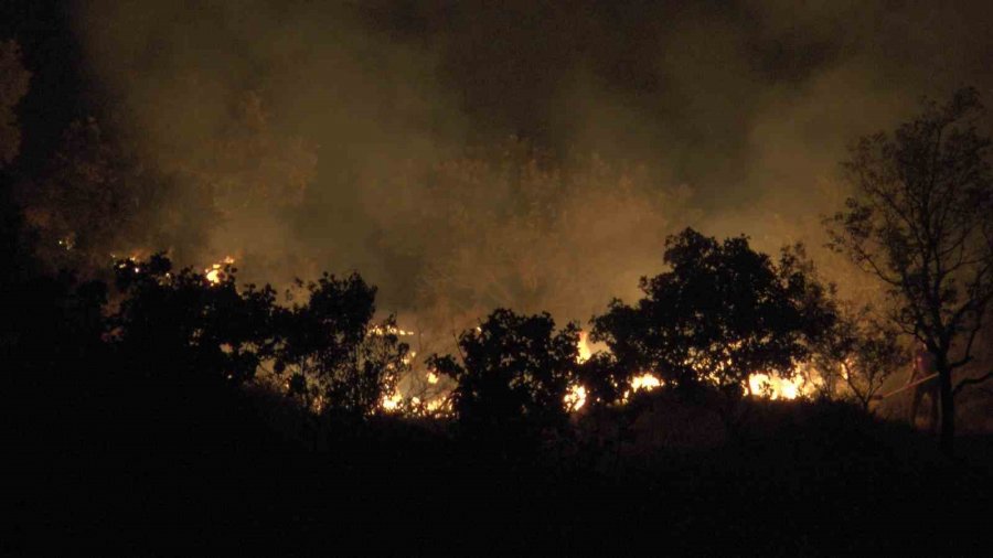 Dağlık Alanda Çıkan Yangında 200 Dönümlük Arazi Kül Oldu