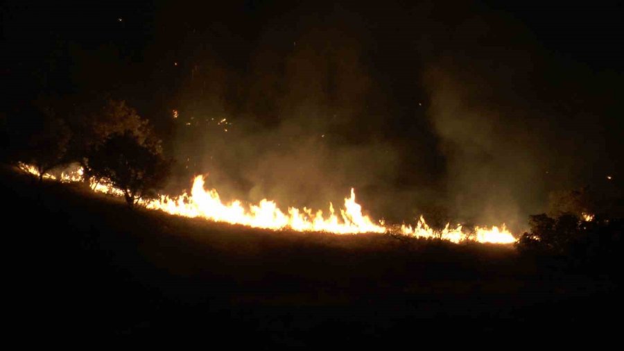 Dağlık Alanda Çıkan Yangında 200 Dönümlük Arazi Kül Oldu