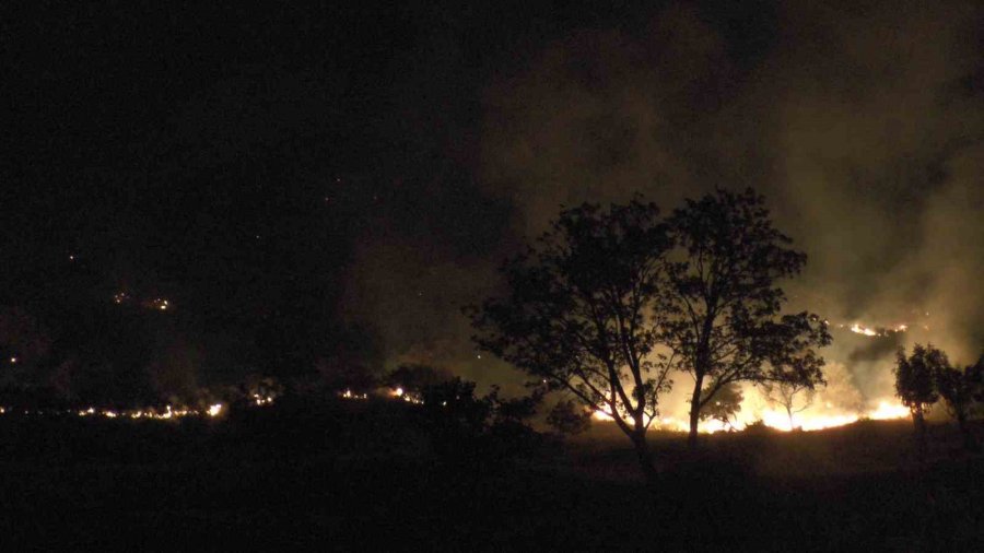 Dağlık Alanda Çıkan Yangında 200 Dönümlük Arazi Kül Oldu