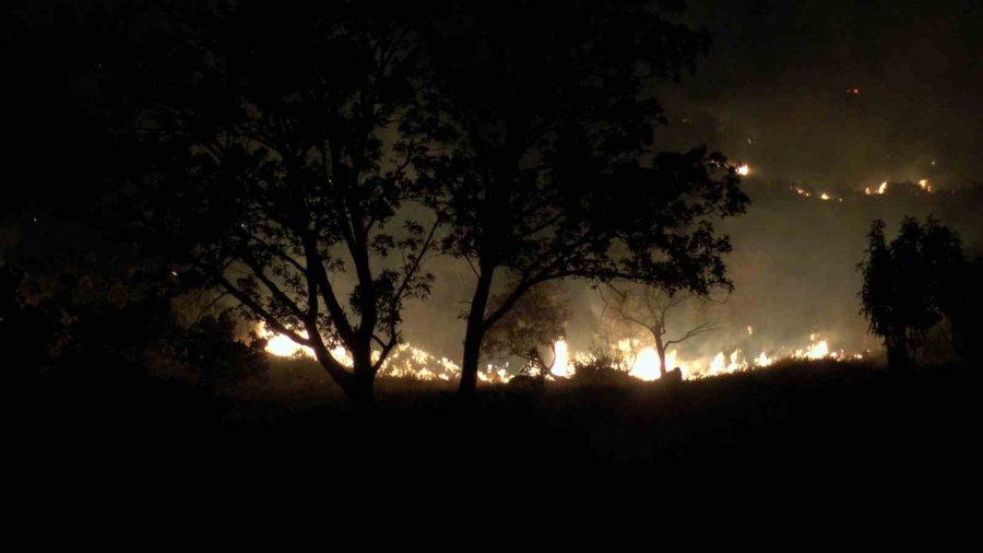 Dağlık Alanda Çıkan Yangında 200 Dönümlük Arazi Kül Oldu