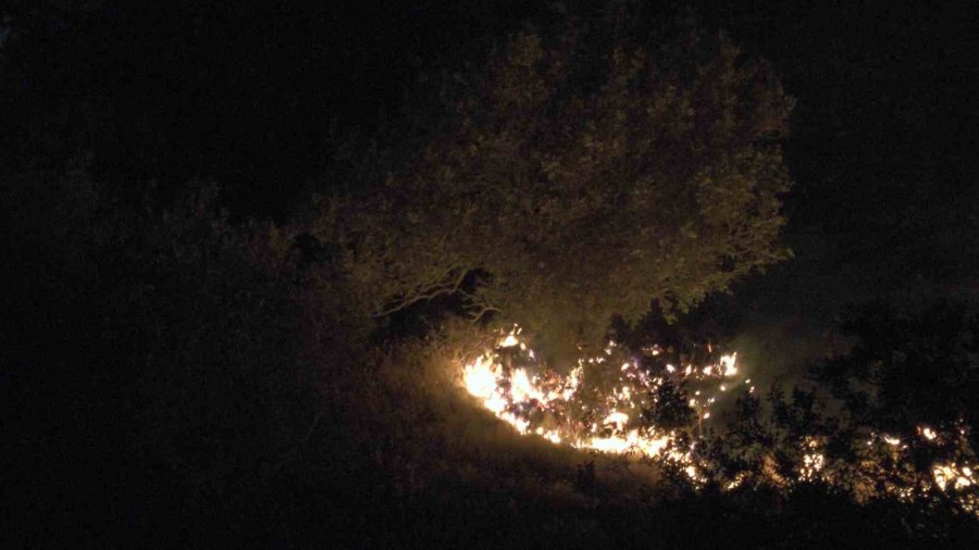 Dağlık Alanda Çıkan Yangında 200 Dönümlük Arazi Kül Oldu