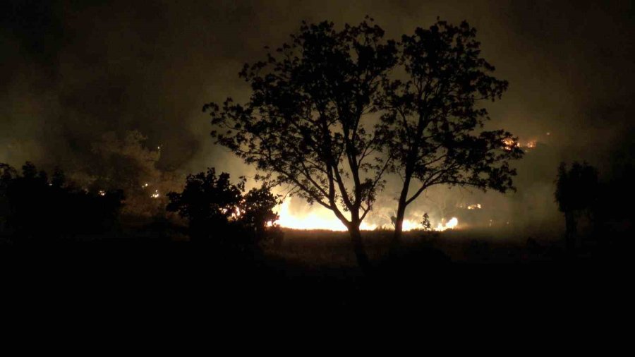 Dağlık Alanda Çıkan Yangında 200 Dönümlük Arazi Kül Oldu