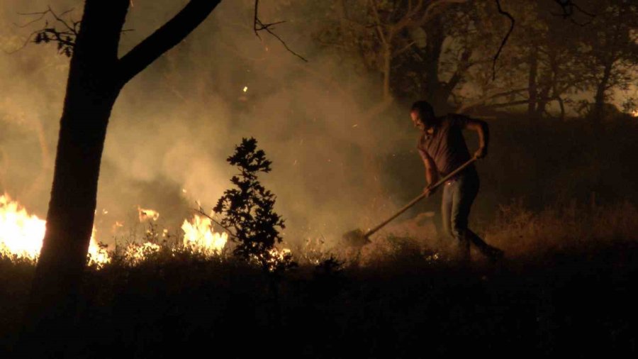 Dağlık Alanda Çıkan Yangında 200 Dönümlük Arazi Kül Oldu