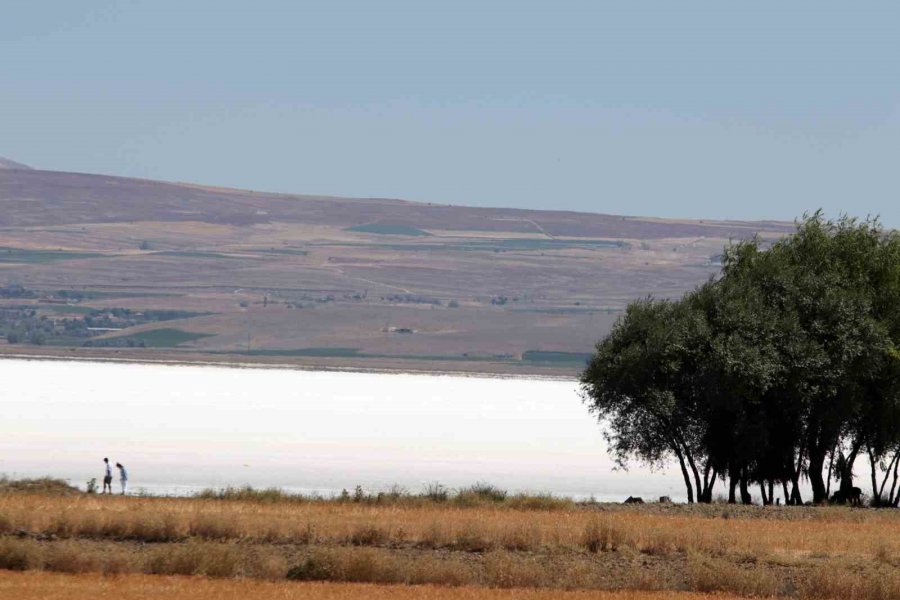 Suyu Gitti, Tuzu Kaldı