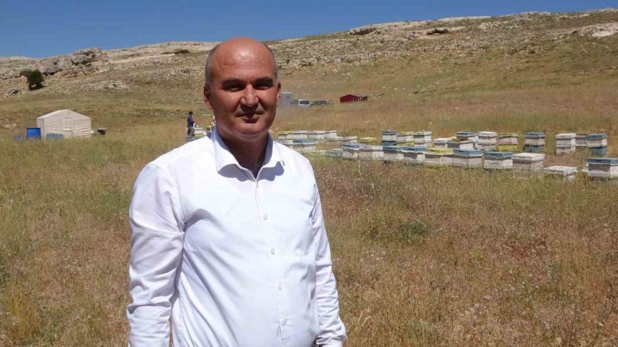 Endemik Bitkili Zengin Florada Üretilen Yayla Balı Sağıldı