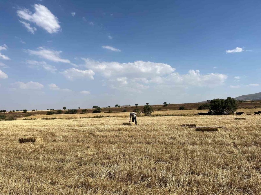 Eskişehir’de Çiftçilerin Saman Mesaisi Başladı