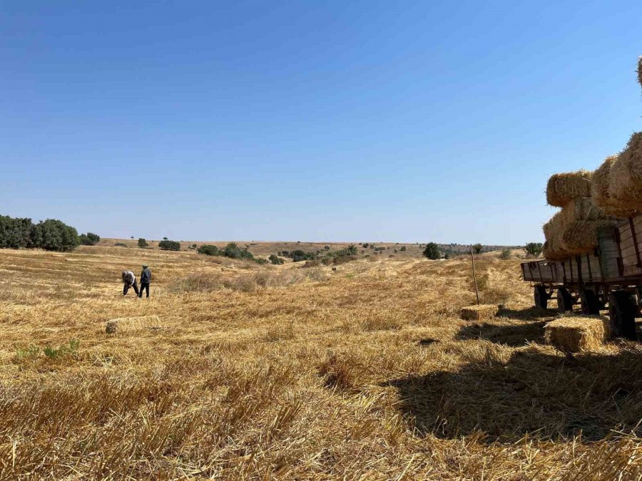 Eskişehir’de Çiftçilerin Saman Mesaisi Başladı