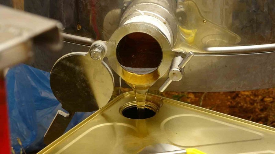 Endemik Bitkili Zengin Florada Üretilen Yayla Balı Sağıldı