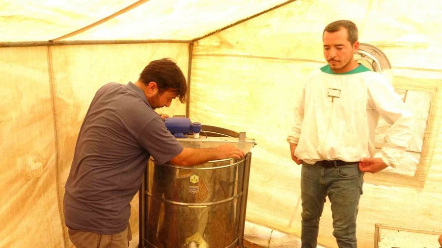 Endemik Bitkili Zengin Florada Üretilen Yayla Balı Sağıldı