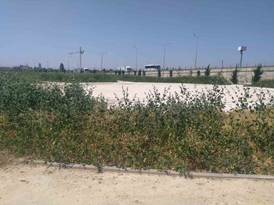 Bu Parkın Yapımı Neden Yarım Bırakıldı?