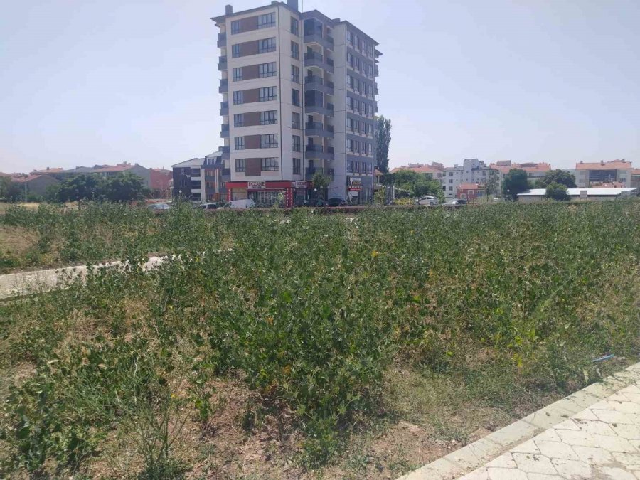 Bu Parkın Yapımı Neden Yarım Bırakıldı?