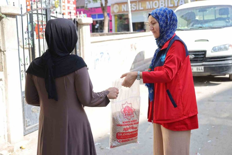 Aksaray Belediyesi Hasat Ettiği Nohutları İhtiyaç Sahiplerine Ulaştırıyor