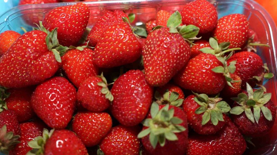 Büyükşehir Belediyesi Doğal Ürünler Bahçesi, Kayserililere Kapılarını Açtı